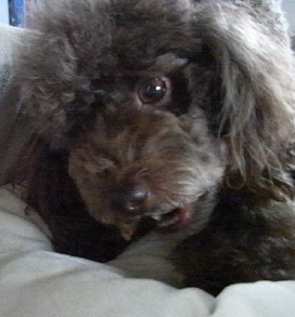 081001 R8 11779 61.jpg