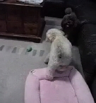 0712-2-iPhone 01.jpg