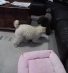 0712-2-iPhone 04.jpg