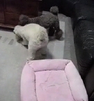 0712-2-iPhone 08.jpg