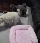 0712-2-iPhone 09.jpg