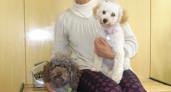 080603 GX100 13348.JPG