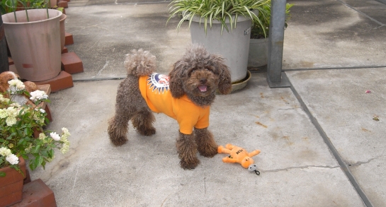 080608 GX100 13360.JPG