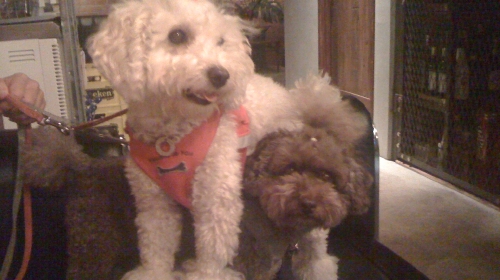 7/18ままの誕生日