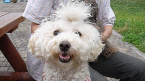 6/14横須賀パーキング