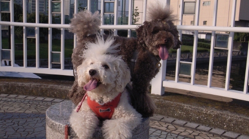 8/13東品川海上公園