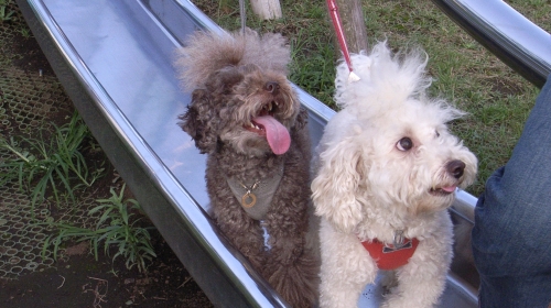 8/13東品川海上公園