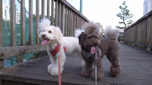 8/13東品川海上公園