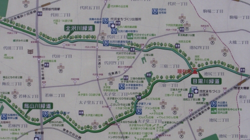 8/17目黒川緑道散歩