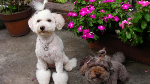 8/25頭イメチェン