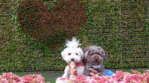 9/9「南房パラダイス」