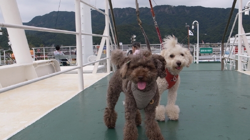 9/9「東京湾フェリー」初体験の船旅