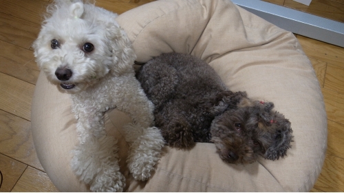 9/20・・・・・(;_;)