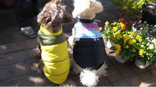 11/15防寒着を買いました