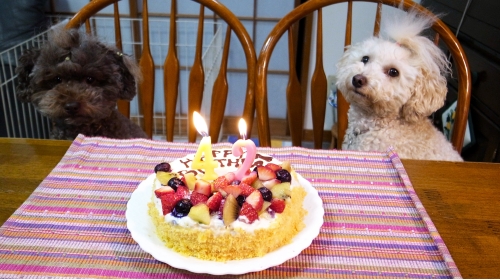 12/3ま〜だお預けなの