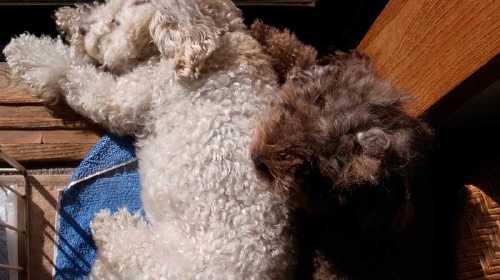 12/12ひなたぼっこ２