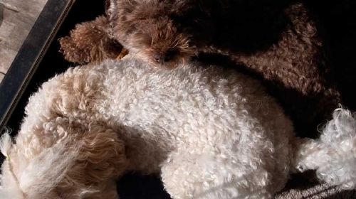 12/12ひなたぼっこ１