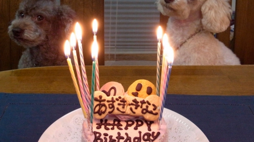 12/3年の数ローソクに点灯