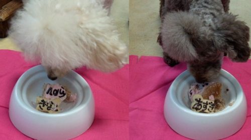 12/3いただきます