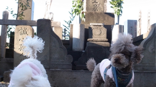 1/2 甘藷先生の墓前