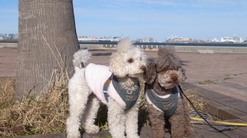 1/3 記念撮影（遠くにスカイツリー）