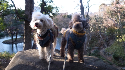 12/30 今年最後の記念撮影