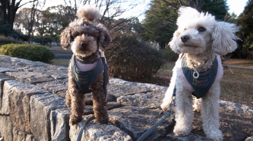 1/8  いい顔でしょう