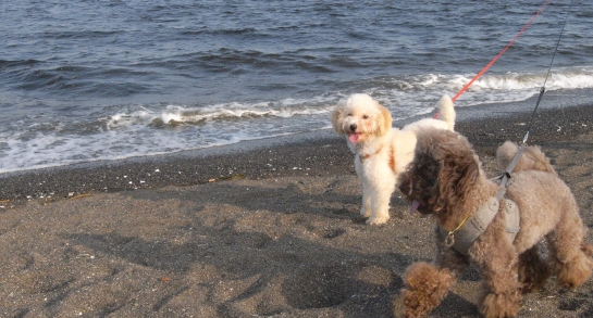 080721 GX100 13659.JPG