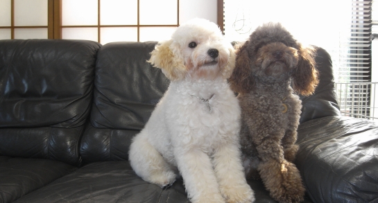 080720 GX100 13629.JPG